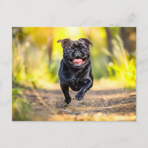 Energetic Pug Running Through Forest Postkarte