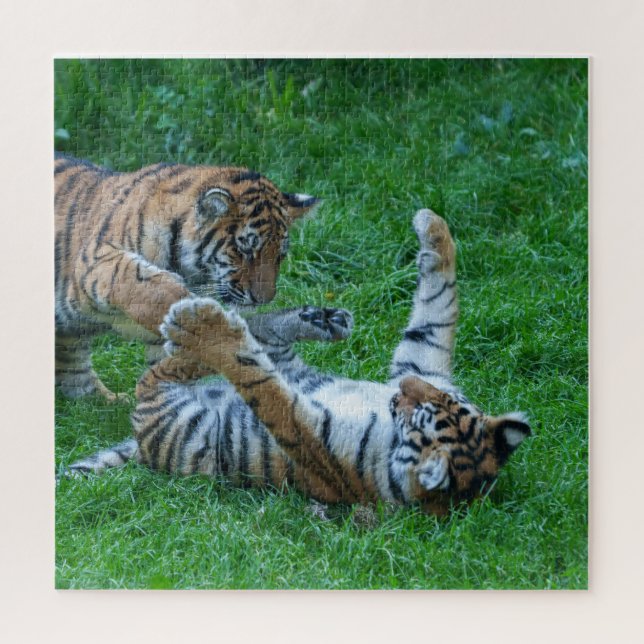 Energetische Tiger Cubs Puzzle (Vertikal)
