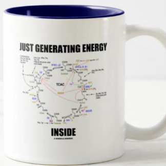 Energie-Innere (Krebs Zyklus) gerade, erzeugend Zweifarbige Tasse