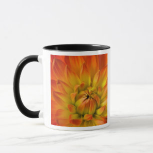 Eng in Fotografien der Dalhia-Blume mit der Tasse