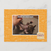 Engage den winzigen Angriffsmodus!