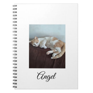 Engel das freche Katzen Notizbuch Notizblock