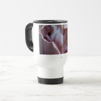 Engel die freche Katzen-Tasse