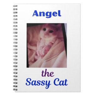 Engel die freche Katzenpfote Katzen Notizbuch Notizblock