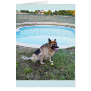 Engel Hund sitzend mit Kugel