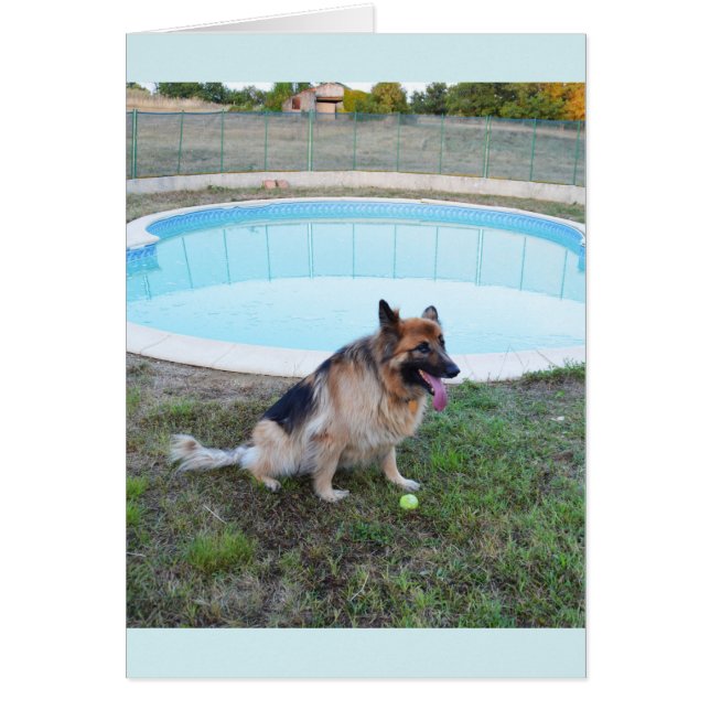 Engel Hund sitzend mit Kugel (Vorne)