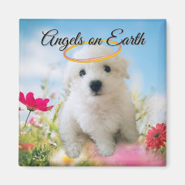 Engel-Hundewelpen-Magnet Magnet