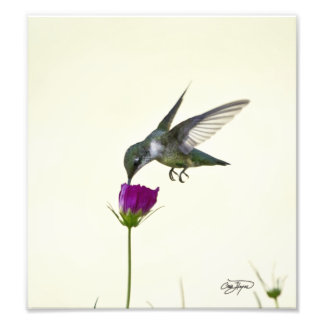 Engel in der Flucht fotografischer Kunst Fotodruck