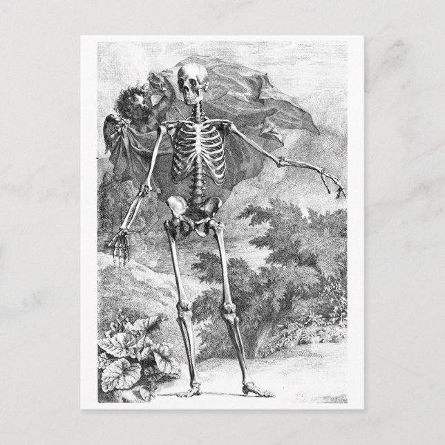 Engel mit einem stehenden Skelett Postkarte (Vorderseite)