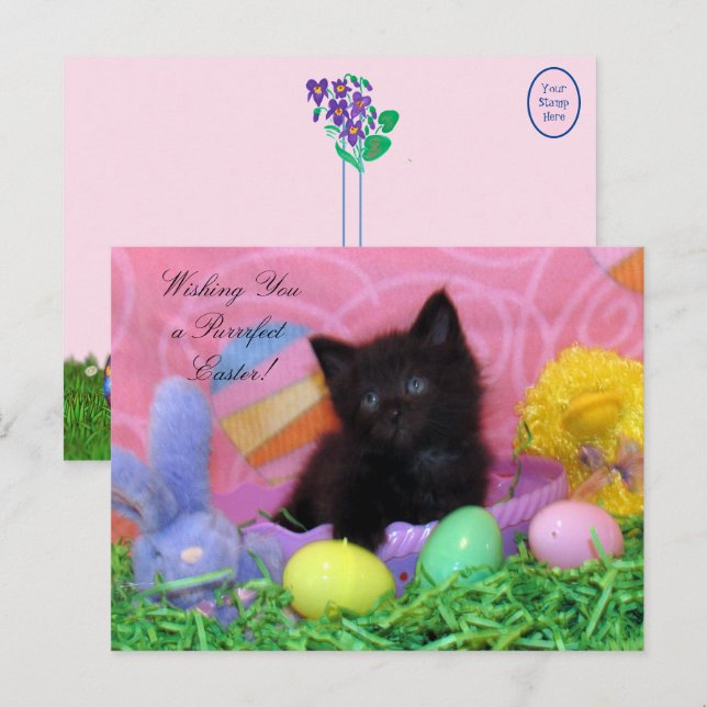 Engel the Kitten's Osterwünsche Postkarte (Vorne/Hinten)