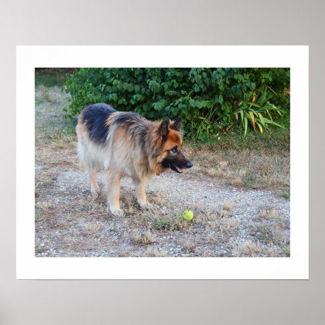 Engel und Ball Poster (Vorne)