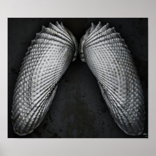 Engel Wings BW Poster