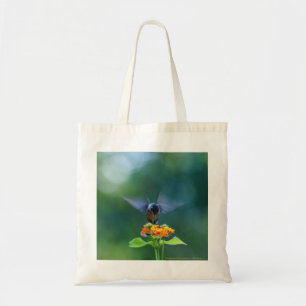Engel Wings Kolibri Tragetasche