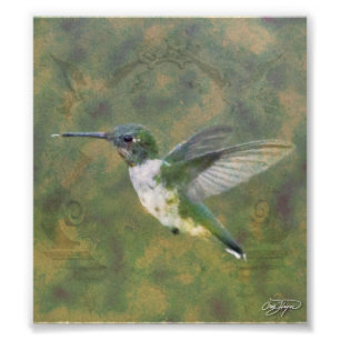 Engel Wings Reihe Fotodruck