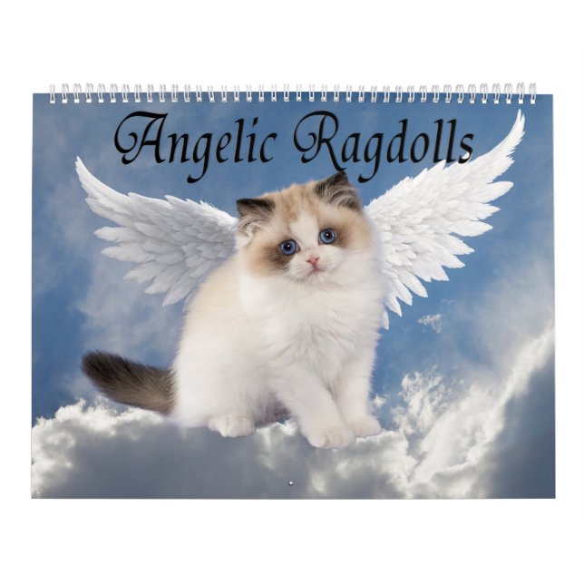 Engelhaft Ragdoll Katzen Kalender (Titelbild)