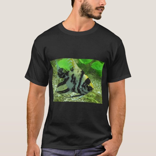 Engelhai T-Shirt (Vorderseite)