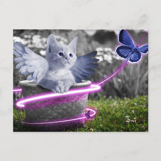 Engelkatze Postkarte (Vorderseite)