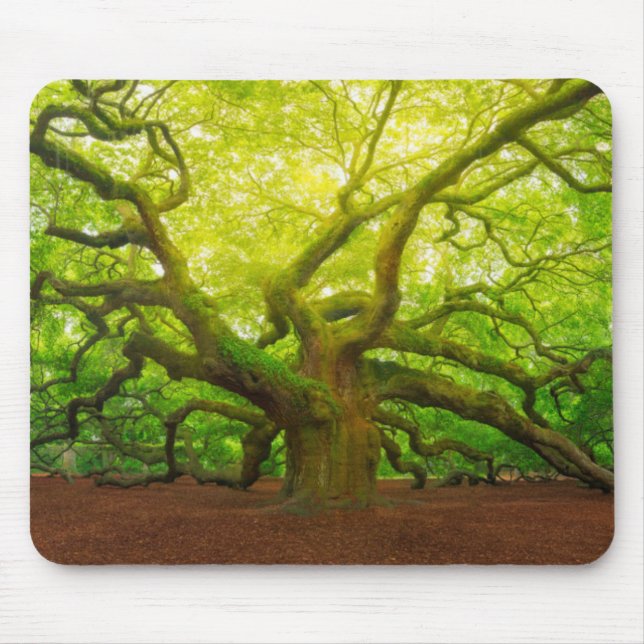 Engels-Eiche Mousepad (Vorne)