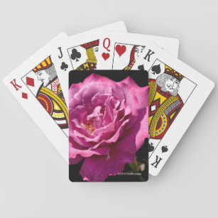 Engels-Gesichts-Rose Oben-Nah Spielkarten
