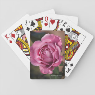 Engels-Gesichts-Rose Spielkarten