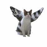 Engels-Katze Fotoskulptur Schlüsselanhänger<br><div class="desc">Tragen Sie Beweis der Engel, die zu uns mit dieser Engels-Miezekatzeschlüsselkette gehören. Sicher glaubt jemand Ihnen!</div>