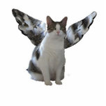 Engels-Miezekatze-Verzierung Fotoskulptur Ornament<br><div class="desc">Diese Engels-Miezekatze macht eine große Verzierung für Ihren Weihnachtsbaum. Macht ein großes Geschenk für Katzenliebhaber,  auch.  Kann zu Ihrem Mögen besonders angefertigt werden.</div>