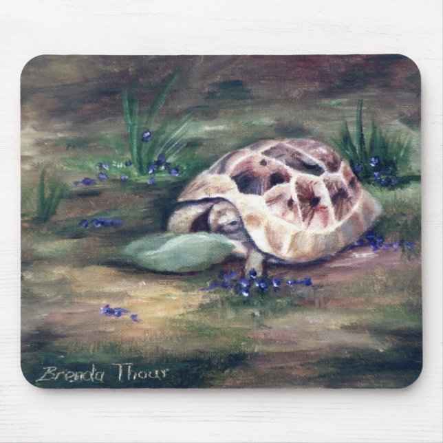 Engels-Schildkröte Mousepad (Vorne)