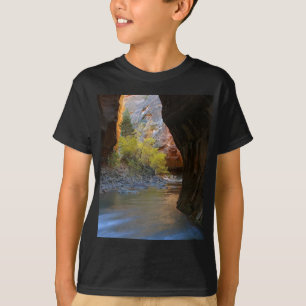 Engen in Zion Nationalpark T-Shirt