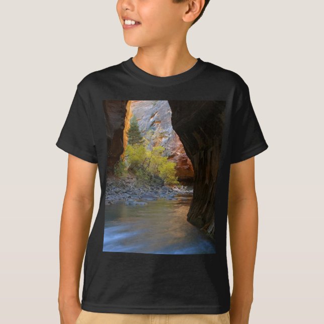 Engen in Zion Nationalpark T-Shirt (Vorderseite)