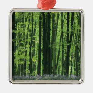 England, Buchenwald und Bluebells Silbernes Ornament