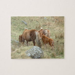 England & Dartmoor Ponnies, Wilde Pferde / Großbri Puzzle