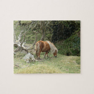 England & Dartmoor Ponny, Wild Horses /Britain Puzzle