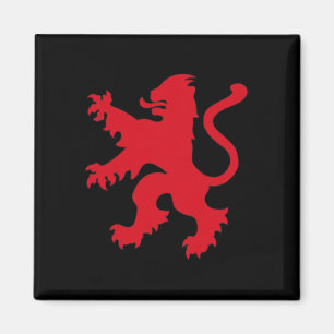 England Fußballtrikot England Fußballteam Löwe Magnet