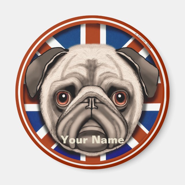 England Mops-Magnet Magnet (Vorne)