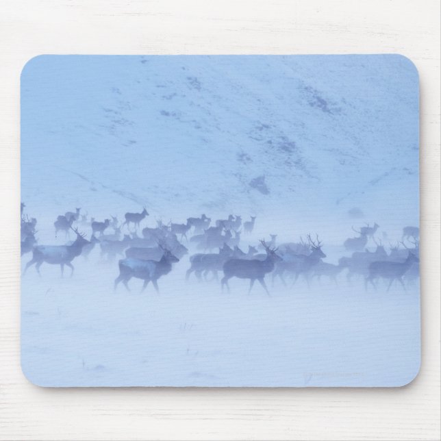 England Mousepad (Vorne)