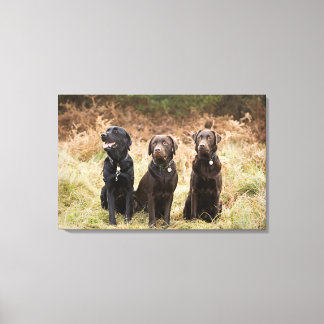 England, Suffolk, Thetford Forest, Portrait Leinwanddruck