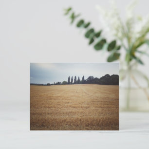 Englands Kontrast Postkarte