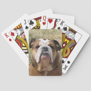 Englisch Bull dog Deck Spielkarten