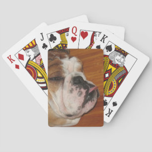 Englisch Bull dog Deck Spielkarten