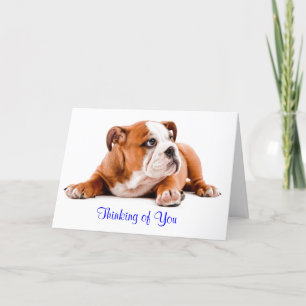Englisch Bulldog Denken Sie an You Card Verse im I Karte