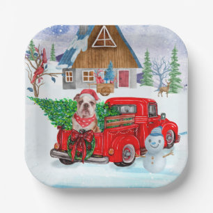 Englisch Bulldog in Christmas Delivery LKW Schnee Pappteller