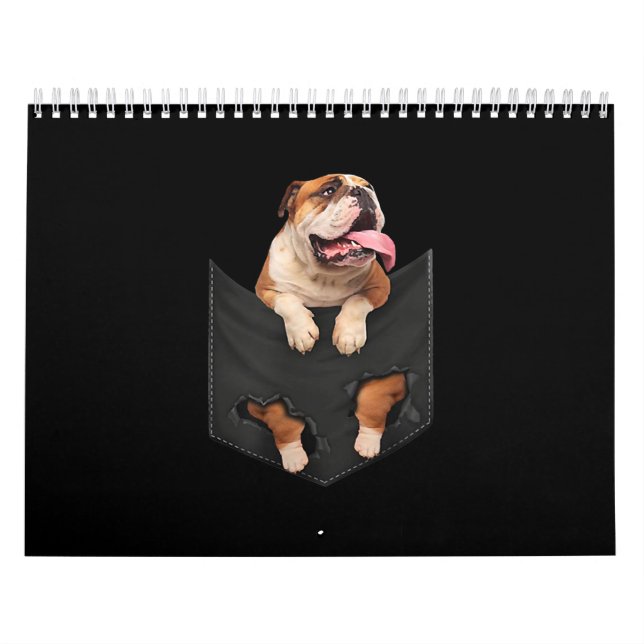 Englisch Bulldog in your Pocket Hunde Liebhaber Kalender (Titelbild)