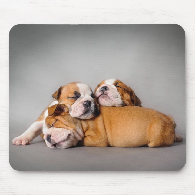 Englisch-Bulldog schlafen Mousepad (Vorne)