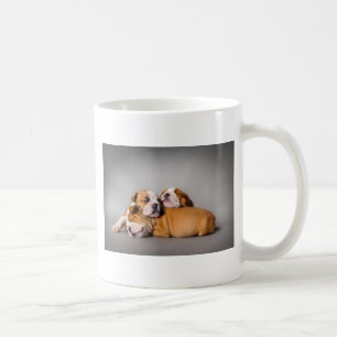 Englisch-Bulldog schlafen Tasse