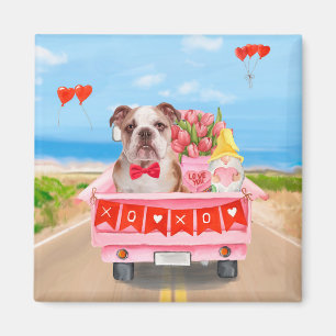 Englisch Bulldog Valentine's Day Lkw Herz Magnet