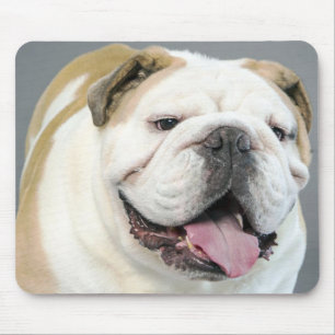 Englisch Bulldog Welpe Hund Canine Mauspad