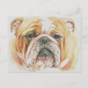 Englisch Bulldogge Hund Gesicht Aquarellmalerei Postkarte