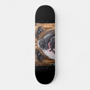 Englisch Bulldogge Kissen Skateboard