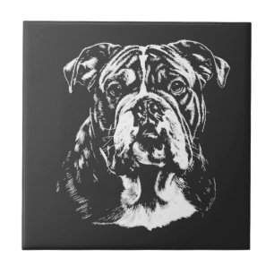 Englisch Bulldogge-Porträt Minimalistische Bekleid Fliese