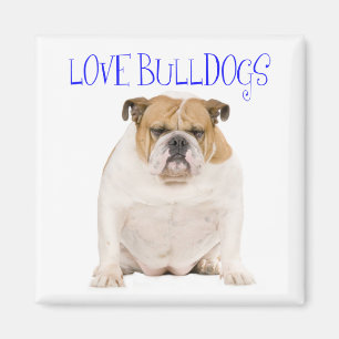 Englisch Bulldogge Welpen Hund Liebe Magnet